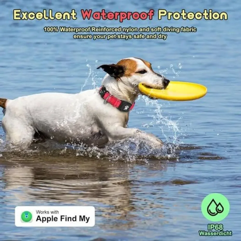GPS Dog Collar Tracker 2-in-1